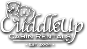 North Georgia Cabin Rentals